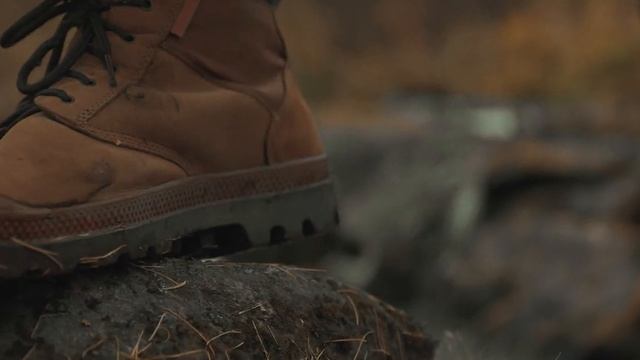 CINEMATIC AUTUMN FOREST blackmagic 4K Anamorphic смотреть онлайн