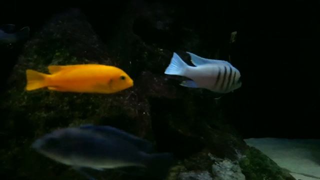 Moje 240l na dzień 21.10.2018 смотреть онлайн