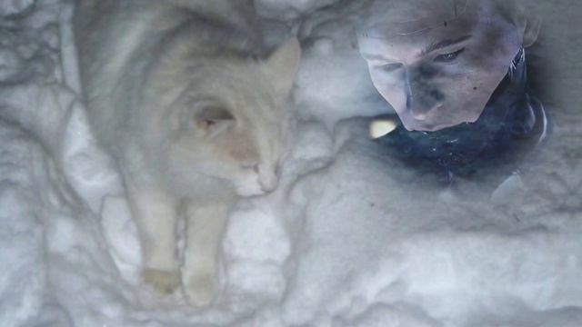 респаун.саблиминал смотреть онлайн