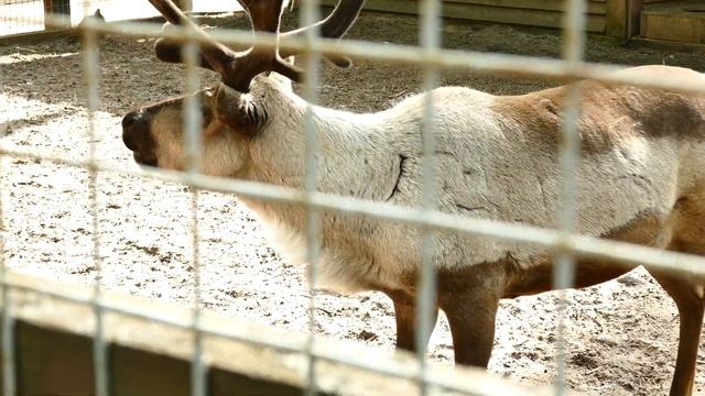 PANASONIC DMC FZ1000 пример видеосъемки в 4К. смотреть онлайн