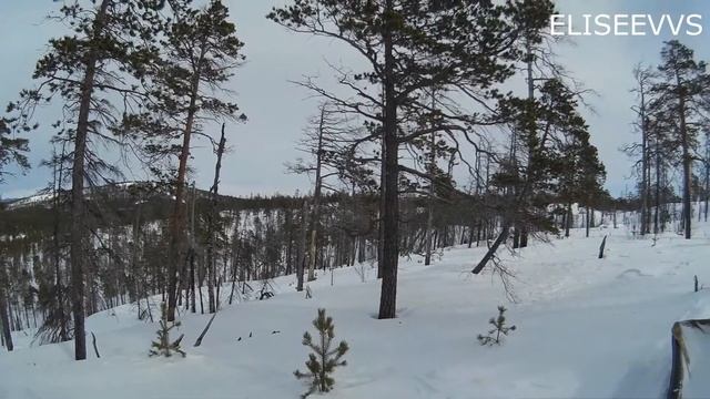 Солнечный денёк на снегоходе смотреть онлайн