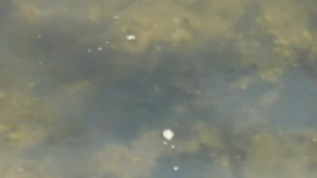 Час отдыха на берегу реки Проня.