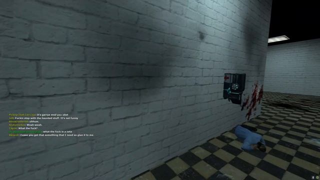 I let Zeta Players roam an empty server for about an hour, and... смотреть онлайн