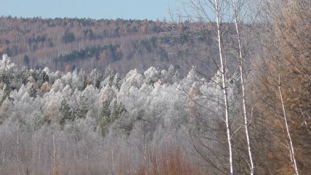 Татиана Лазаренко ,, Прозрение Полнобытия ,, смотреть онлайн