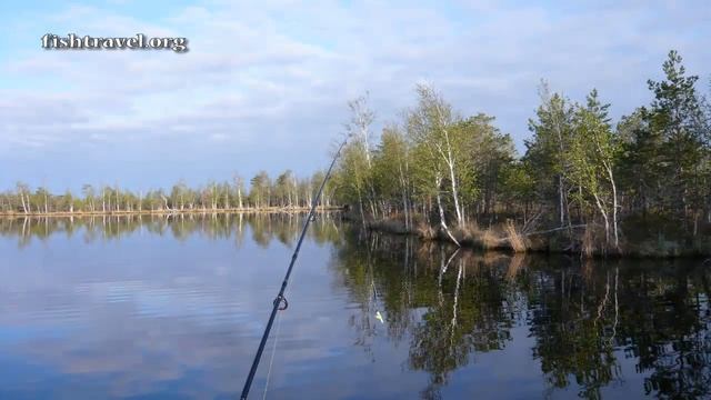 Вертолетный тур на рыбалку. Рыбалка в Томской области смотреть онлайн
