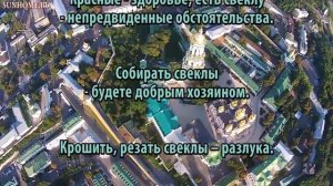 К чему снится Свекла сонник, толкование сна