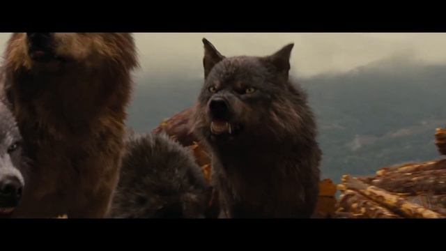 Сумерки Сага Рассвет смотреть онлайн