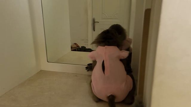 Приманите хорошее настроение!!! Всем хорошего настроения!!! 22.02.24