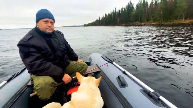 ProfMarine 390. Лодка с надувным дном смотреть онлайн