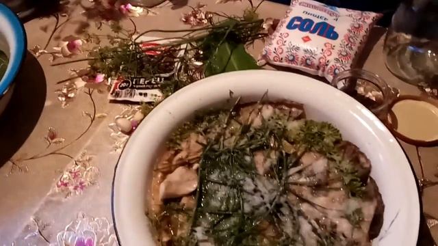 Шахматный Мир