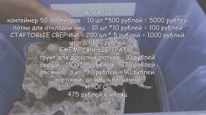 БИЗНЕС НА СВЕРЧКАХ. КАК ЗАРАБОТАТЬ НА РАЗВЕДЕНИИ СВЕРЧКОВ