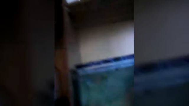 Как избавиться от мутной воды смотреть онлайн