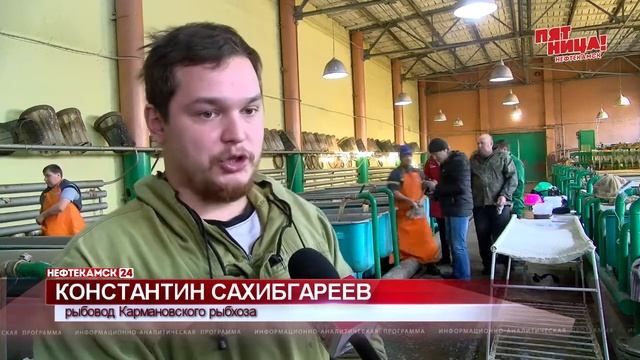В Карманово начался сезон добычи черной икры смотреть онлайн