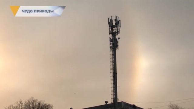 ЧУДО ПРИРОДЫ смотреть онлайн