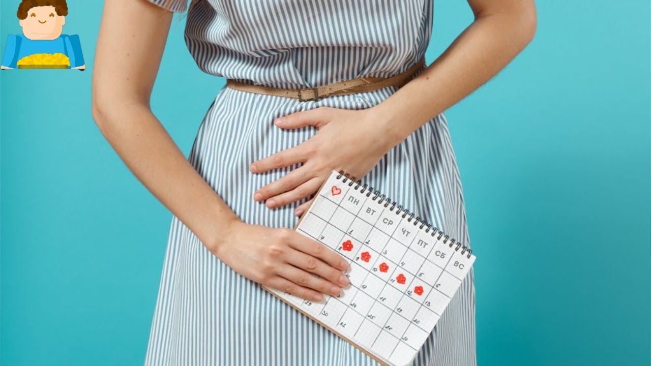 Менструальная синхронизация – правда или миф? | Plushkin смотреть онлайн