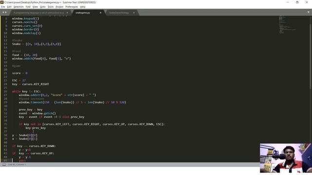 Developing a snake game with python programming language in telugu #pythontelugu #teluguprogramming смотреть онлайн