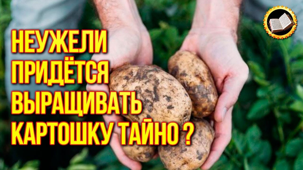 Когда наступит глобальный голод? Вы должны это знать! Статья 10.12 смотреть онлайн