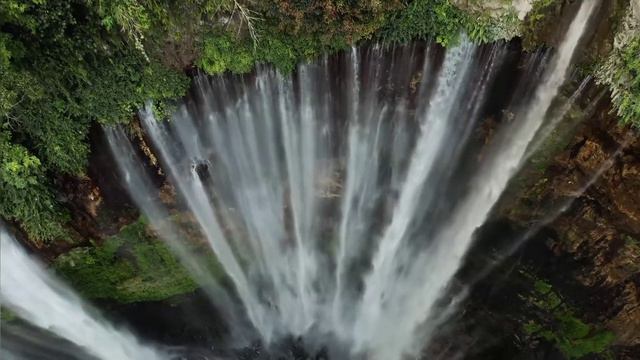 Флейта и лем смотреть онлайн