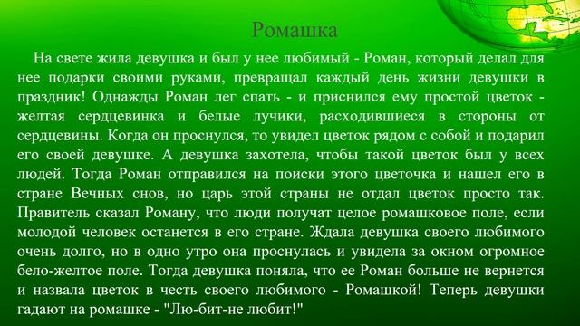 Легенды о цветах смотреть онлайн