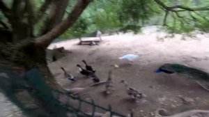 ??Обязательно Посети это место. Дудутки. Беларусь.