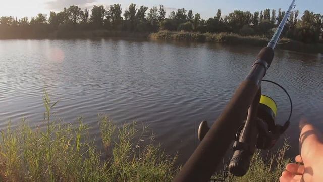 ПРОСНУЛСЯ а там КАРП СИДИТ!!! ЛИСА СЪЕЛА ВСЮ ПРИКОРМКУ и МЫ ЛОВИЛИ КАРАСЯ на КАРТОШКУ смотреть онлайн