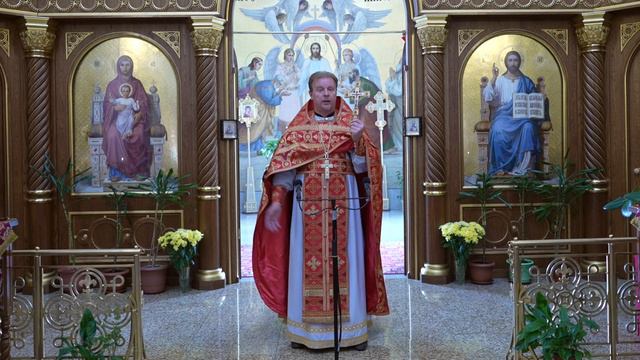 О призвании человека. Проповедь священника Димитрия Лушникова. смотреть онлайн