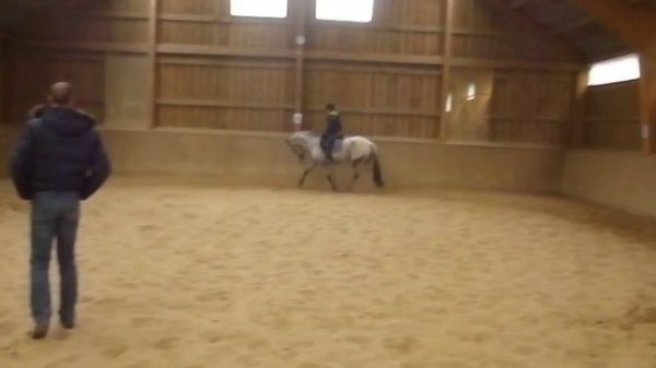 Poney appaloosa Simon Beaujot