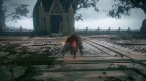 Единственное Место ФАРМА кузнечных камней МРАКА 8 в ELDEN RING