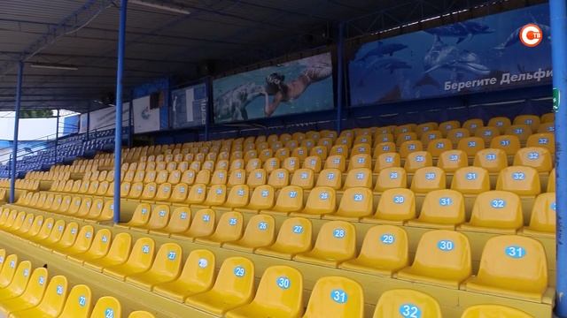 Что происходит с севастопольским дельфинарием? смотреть онлайн