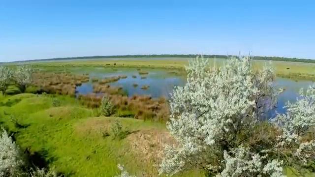 Реки, озера и океаны ¦ Неизведанная Европа ¦ Discovery Channel смотреть онлайн