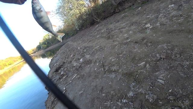 Такого трофея я не ожидал! Рыбалка с новым спиннингом на джиг смотреть онлайн