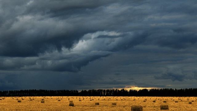 Народные приметы на вторую декаду ноября. смотреть онлайн