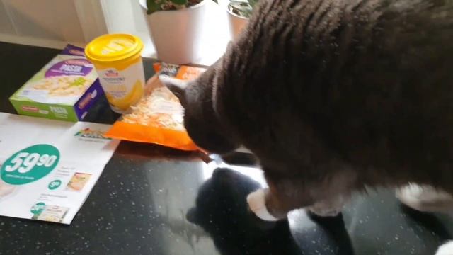 Как выживают в Норвегии. Закупка продуктов+рум-тур по норвежской кухне.