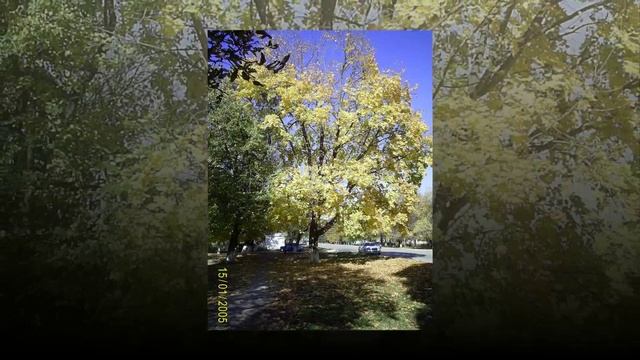 АИДА БАЙРАМУКОВА - "У ОДНОГО КОСТРА". Стихи Байдымат Кечеруковой, музыка Аиды Байрамуковой. смотреть онлайн