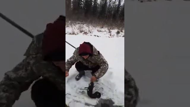 ЛОВЛЯ НАЛИМА смотреть онлайн