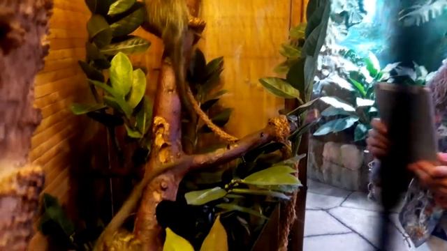 16. УФИМКИ В СТОЛИЦЕ! Как прожить в Москве, что делать, куда сходить? смотреть онлайн