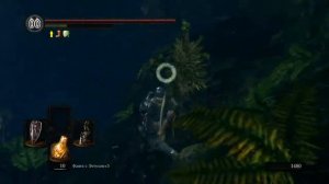 Dark souls/фарм душ/опыта/Сад Темных Корней