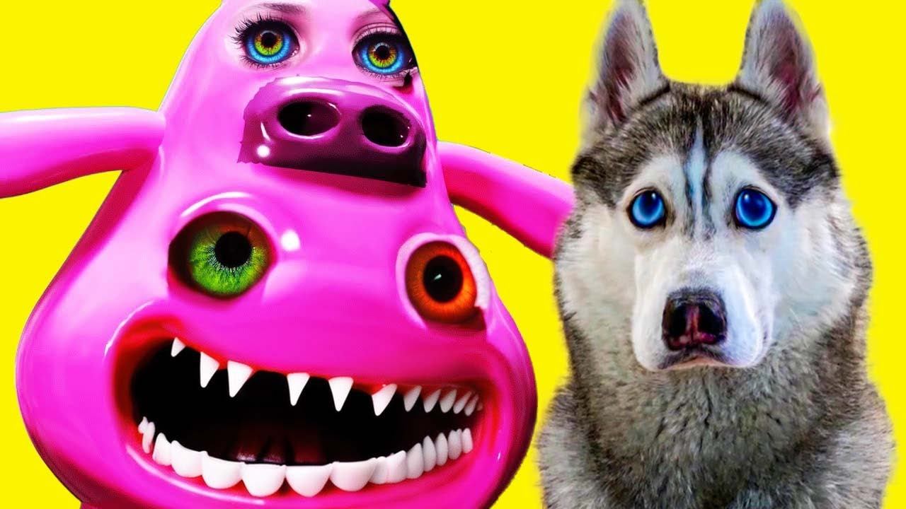 ШЕФ ПИГСТЕР НАПАЛ НА НАС! Garten BanBan 3 в реальной жизни! (Хаски Бандит) Говорящая собака смотреть онлайн