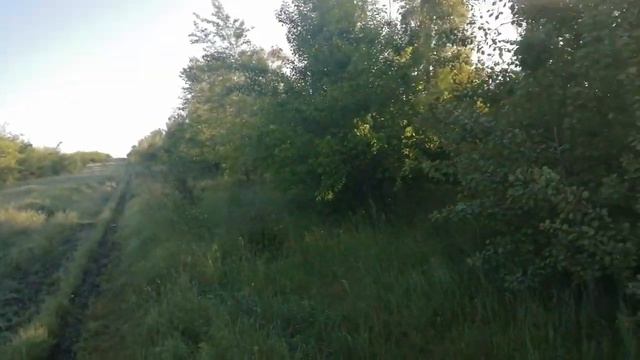Почему цены не падают в след за долларом? смотреть онлайн