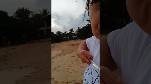 Centara Ceysands, Sri Lanka, 23 октября 2022 смотреть онлайн
