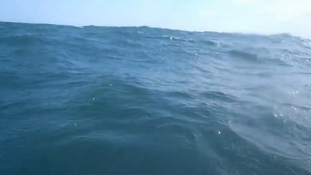 Kayak Fishing: High Sea Drifters смотреть онлайн