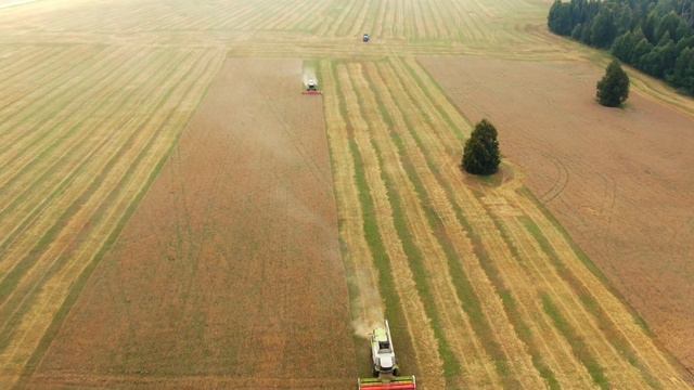 Что-то в этом есть) смотреть онлайн