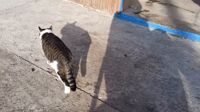 Такой теплый денёк)) Наконец то помыла окно на кухне ?