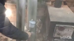 замена порогов Шевроле Авео (т200)