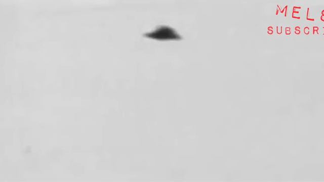 ДОПРОС ПРИШЕЛЬЦА . РЕАЛЬНАЯ СЪЁМКА #ПРИШЕЛЬЦЫ смотреть онлайн