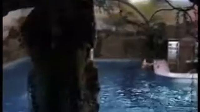 Бары и Рестораны в "Кимберли Лэнд" смотреть онлайн