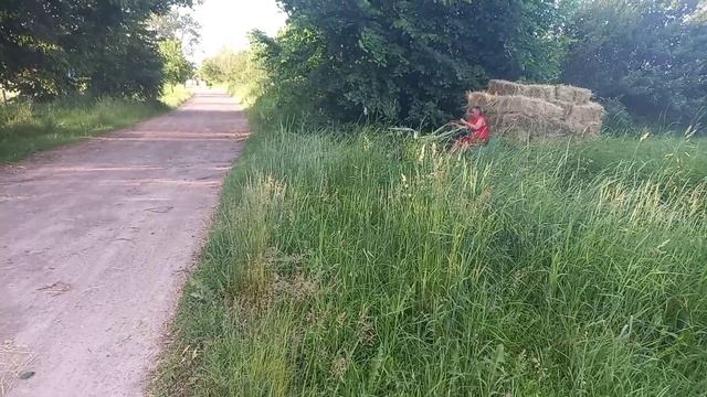 Загрузил столько что не мог выехать. Перевозка сена мотоблоком zubr и мототрактором Garden Star T-1 смотреть онлайн
