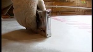 Использование шпунтованной ДСП QuickDeck в качестве основы для пола, стен и потолка