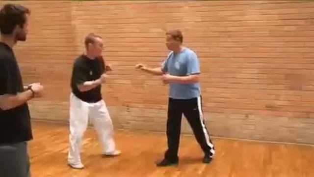 1st Systema Professional Seminar Berlin (Germany) смотреть онлайн