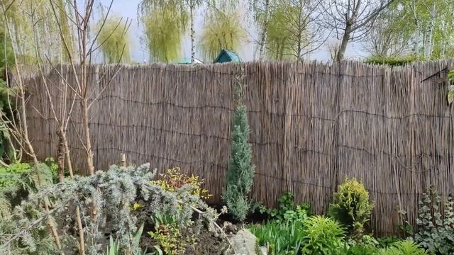 Весна в Южном саду 10 апреля! ЦВЕТУЩИЙ САД! ОБЗОР САДА С НАЗВАНИЯМИ РАСТЕНИЙ!